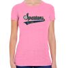 Ladies' Triblend Short-Sleeve T-Shirt Thumbnail